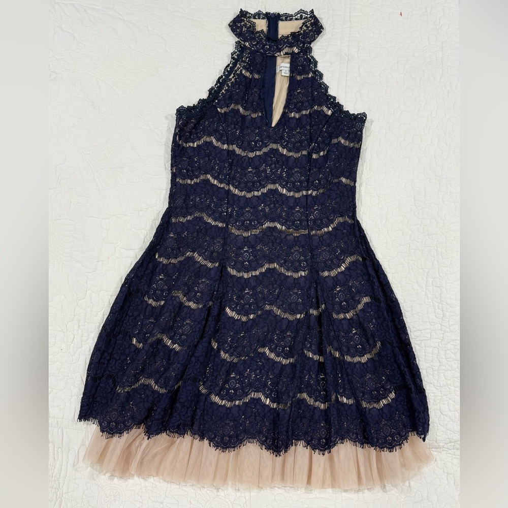 Francesca's Womens Navy Lace Dress with Nude Lining Size S